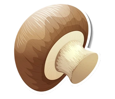 fy6m_e3be_210608-removebg-preview