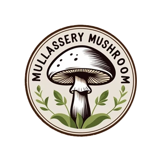 Mushroom farm mullassery
